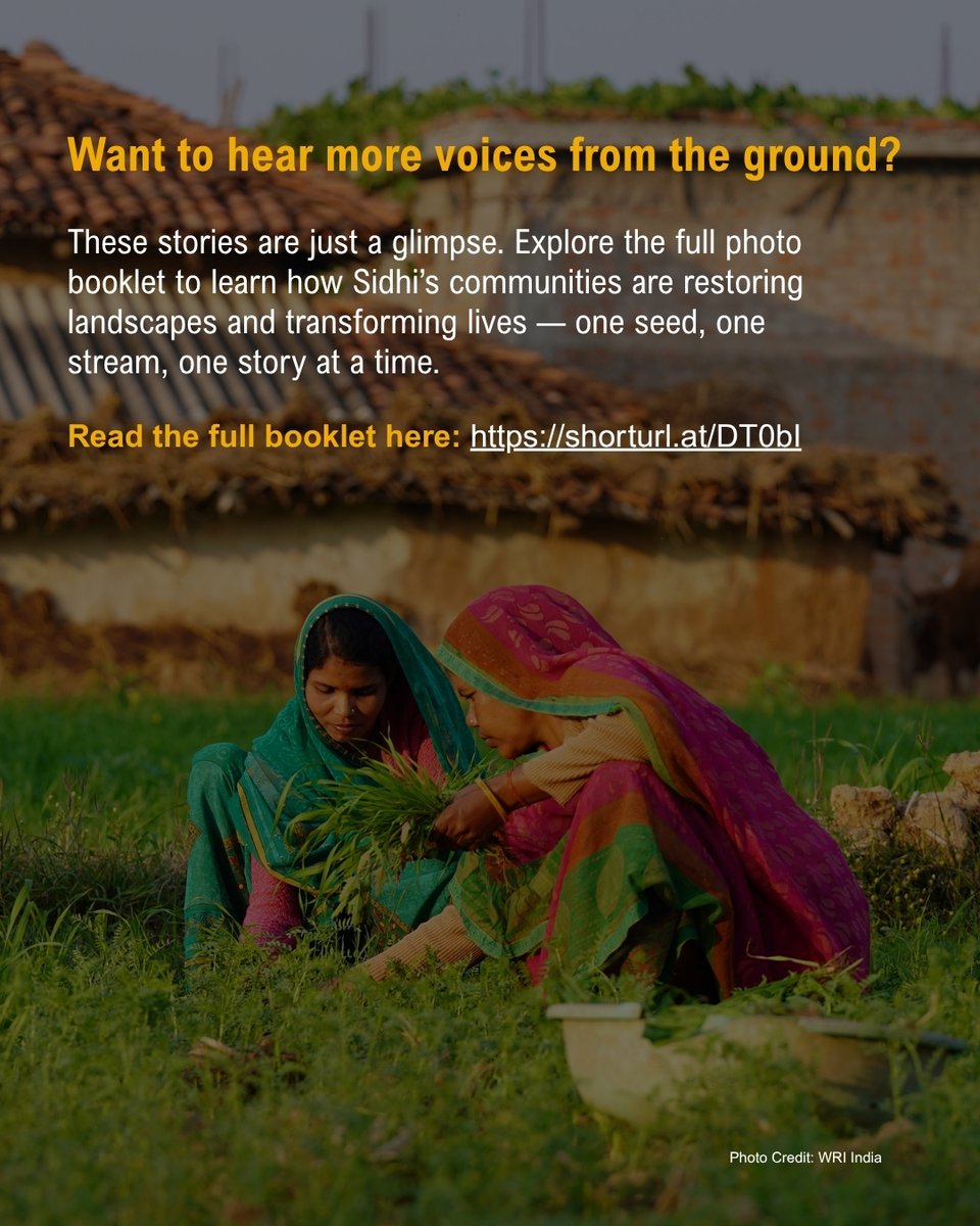 Read this photo booklet that captures the journey of Sidhi's grassroots restoration stewards — their challenges, their hopes, and their transformative wins. shorturl.at/DT0bI 

#GenerationRestoration