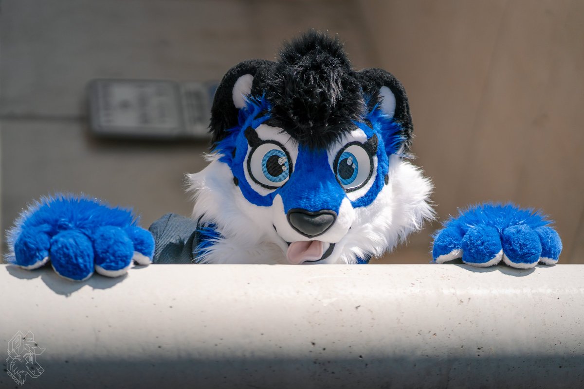 Peekaboo! I bet you did not expect me hiding here.

Happy #FursuitFriday 

📸 <a href="/vlaaacek/">VlaceK</a> 

#furry #fursuit #FursuitEverday