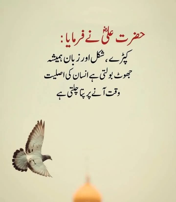 Shahzeb Khan (@saasi669) on Twitter photo حضرت علیؓ نے فرمایا :
کپڑے ، شکل اور زبان ہمیشہ جھوٹ بولتی ہے انسان کی اصلیت وقت آنے پر پتا چلتی ہے...!!
<a href="/Twilight_1_1/">Malghalara Khaن 🥀🤍</a>
<a href="/Mrs_wasim0303/">Anber Wasim</a>
<a href="/beuttii/">🎀Spell bound🎀</a>
<a href="/FatimaChau85596/">Fatima Chaudhry</a>
<a href="/VIC2255/">Rabia gull</a>
<a href="/Lostguy____/">𝐇𝐚𝐫𝐢s💙</a>
<a href="/poeter111/">Rohan lofar 🍂</a>
<a href="/MNKsaaah/">M NADEEM KHAN🇸🇦</a>
<a href="/sultanjee33/">👑⚡𝐒𝐔𝐋𝐓𝐀𝐍⚡</a>
<a href="/blessed_version/">Gorgeous</a> حضرت علیؓ نے فرمایا :
کپڑے ، شکل اور زبان ہمیشہ جھوٹ بولتی ہے انسان کی اصلیت وقت آنے پر پتا چلتی ہے...!!
<a href="/Twilight_1_1/">Malghalara Khaن 🥀🤍</a>
<a href="/Mrs_wasim0303/">Anber Wasim</a>
<a href="/beuttii/">🎀Spell bound🎀</a>
<a href="/FatimaChau85596/">Fatima Chaudhry</a>
<a href="/VIC2255/">Rabia gull</a>
<a href="/Lostguy____/">𝐇𝐚𝐫𝐢s💙</a>
<a href="/poeter111/">Rohan lofar 🍂</a>
<a href="/MNKsaaah/">M NADEEM KHAN🇸🇦</a>
<a href="/sultanjee33/">👑⚡𝐒𝐔𝐋𝐓𝐀𝐍⚡</a>
<a href="/blessed_version/">Gorgeous</a>