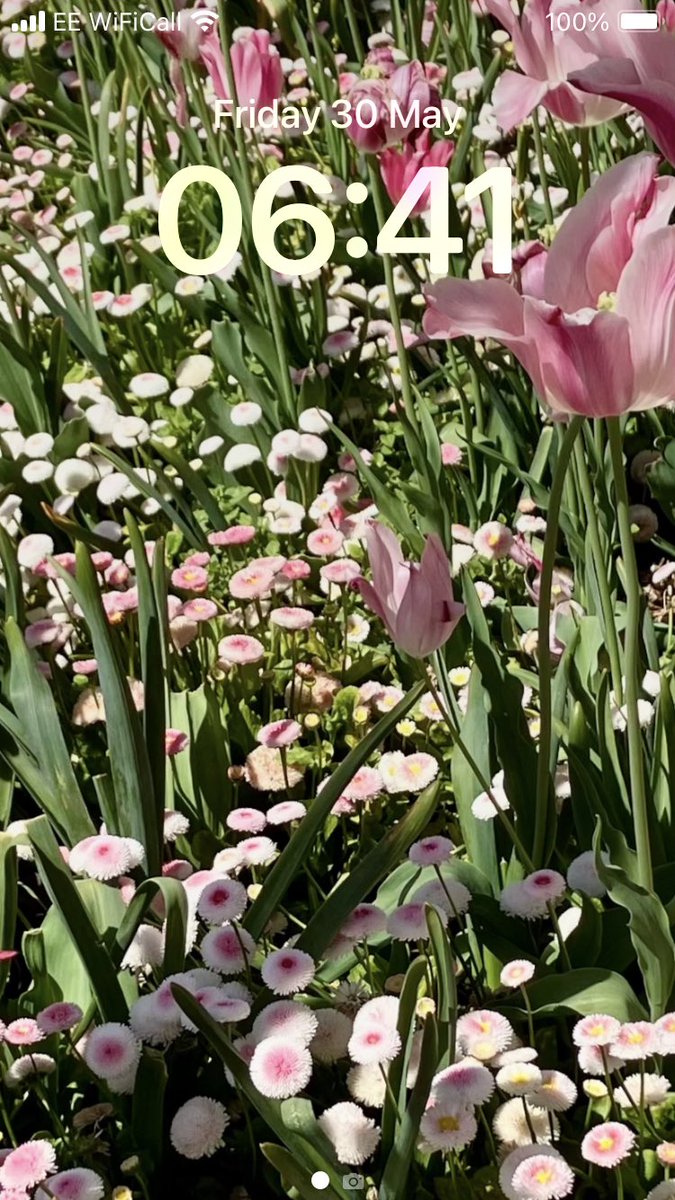 #DailyScreensaver
Spring flowers at Cragside, 
Northumberland
May 2025