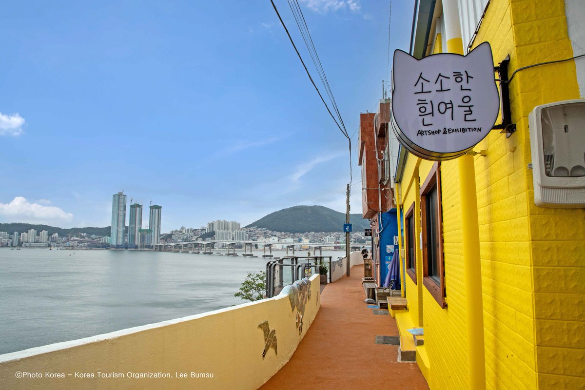 🌉 Busan, entre plages et lumières.

Temples face à la mer, street food, K-dramas…
Le voyage commence ici 👉 bit.ly/43jaiRB

#Busan #CoréeDuSud #Voyage