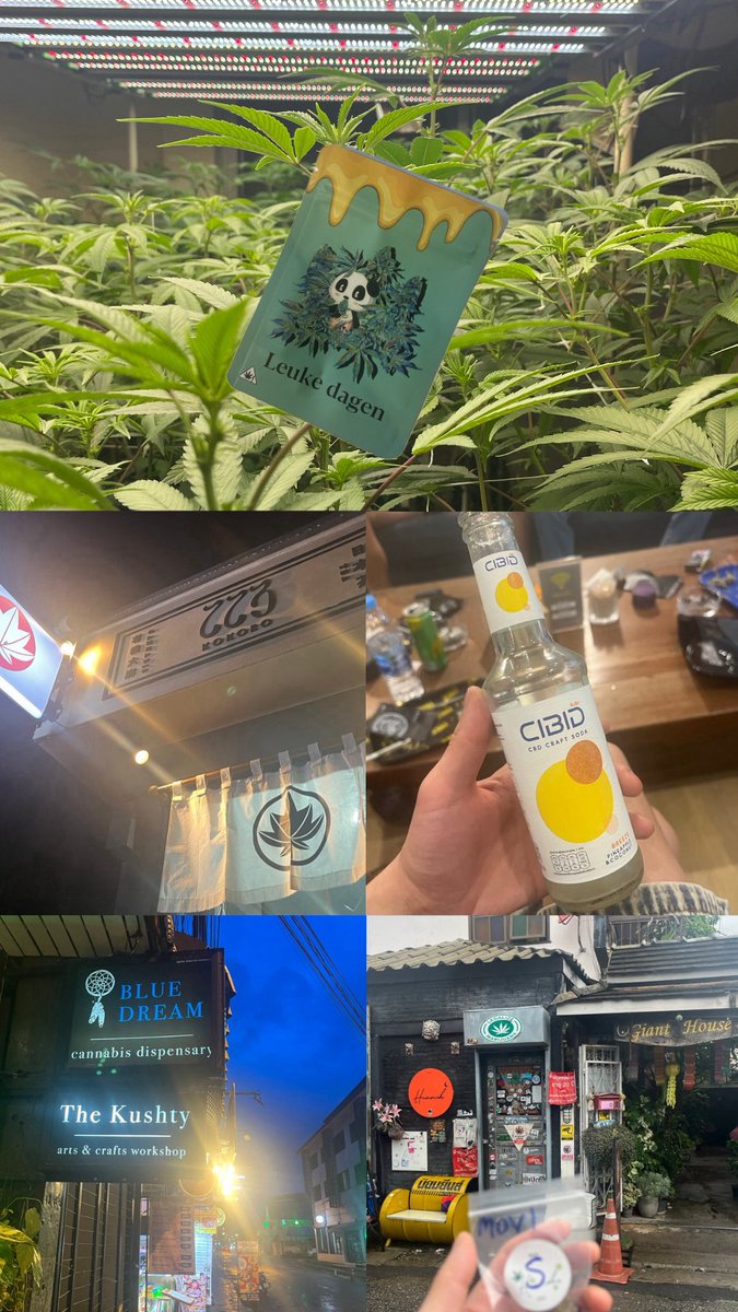 Vape Garage 豊橋 VAPE & CBD ＆ SMOKE SHOP tweet media