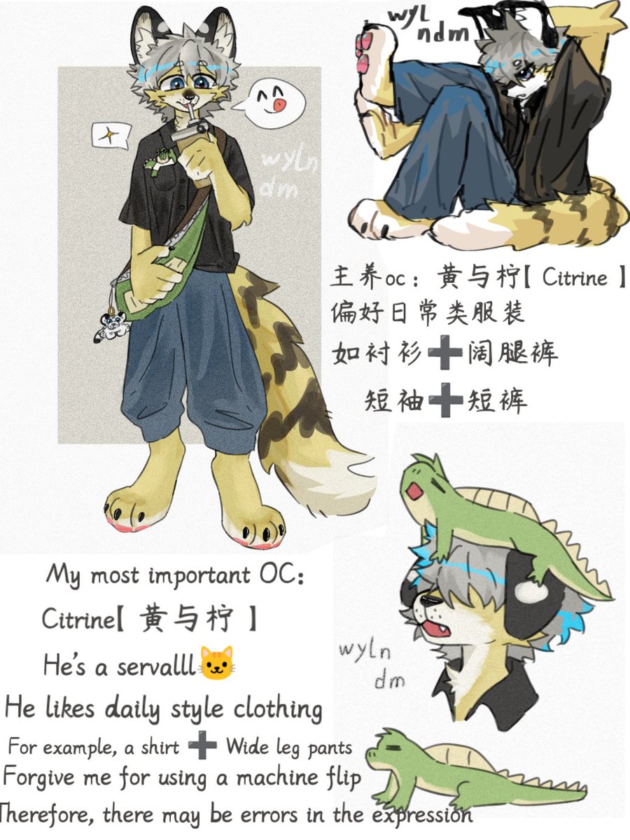 无语了你的名 tweet media