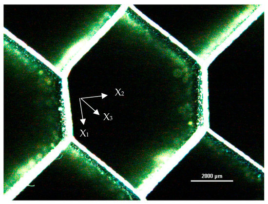 Materials MDPI (@materials_mdpi) on Twitter photo ๐ #MDPIMaterials #highlyviewed #openaccess #article ๐
๐ Effect of the Load Application Angle on the Compressive Behavior of Al #Honeycomb under Combined NormalโShear Stress
โ Authored by Giulia Arquilla et al. <a href="/unitorvergata/">Universitร di Roma Tor Vergata</a>
๐ mdpi.com/1996-1944/16/1โฆ ๐ #MDPIMaterials #highlyviewed #openaccess #article ๐
๐ Effect of the Load Application Angle on the Compressive Behavior of Al #Honeycomb under Combined NormalโShear Stress
โ Authored by Giulia Arquilla et al. <a href="/unitorvergata/">Universitร di Roma Tor Vergata</a>
๐ mdpi.com/1996-1944/16/1โฆ