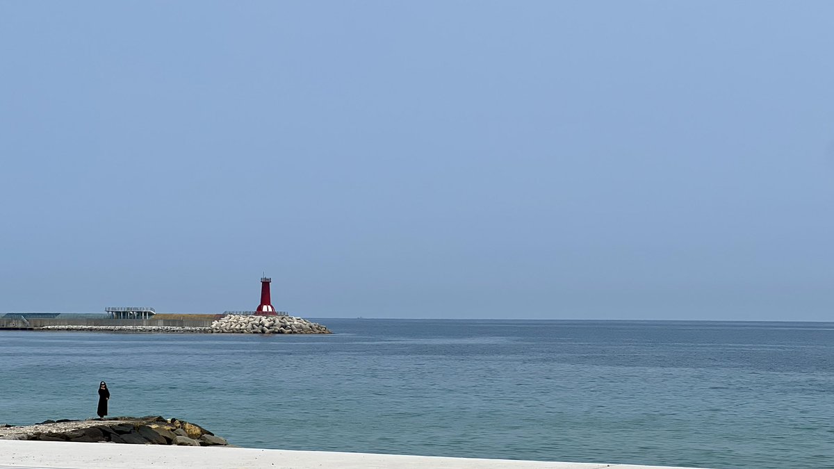 在一起的过程就很“混乱”
又在一周内走完同居养猫看海流程
这下是彻底乱套了
但幸福
且幸运