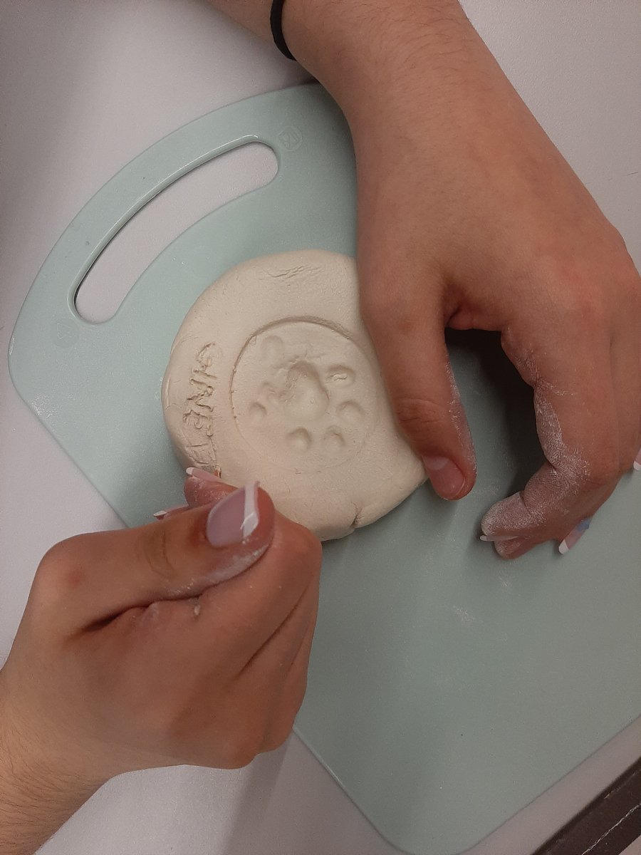 Los alumnos de 1ºESO han visitado La Laguna del Oso y su centro de interpretación dónde han aprendido a diferenciar las especies de aves , han identificado huellas de mamíferos y han disfrutado obteniendo huesos ocultos en egagrópilas.
#somosadaja #somoseducacyl #AprenderHaciendo