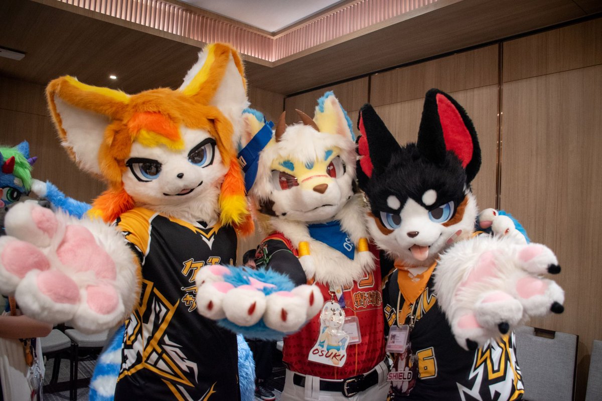 Welcome~ let’s join our team~ 🐾❤️

🍊: <a href="/Amber_chv/">Amber</a> 
🐶: <a href="/Bobchaaaa/">밥차(BOBCHA / ボプチャ / 博布查 )🐶🇰🇷</a> 

📸: Kumo corragie

#FursuitFriday #Furry