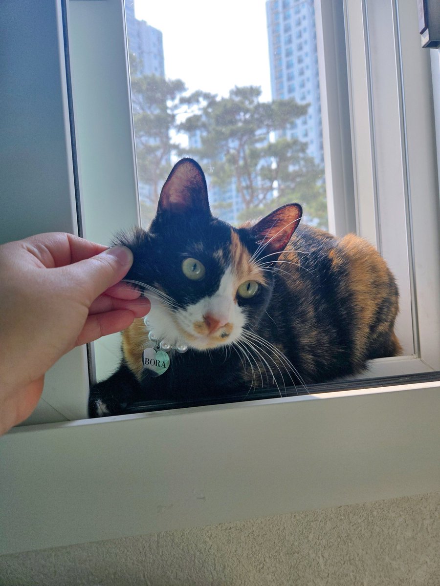 사전투표 완🙋🏻‍♀️