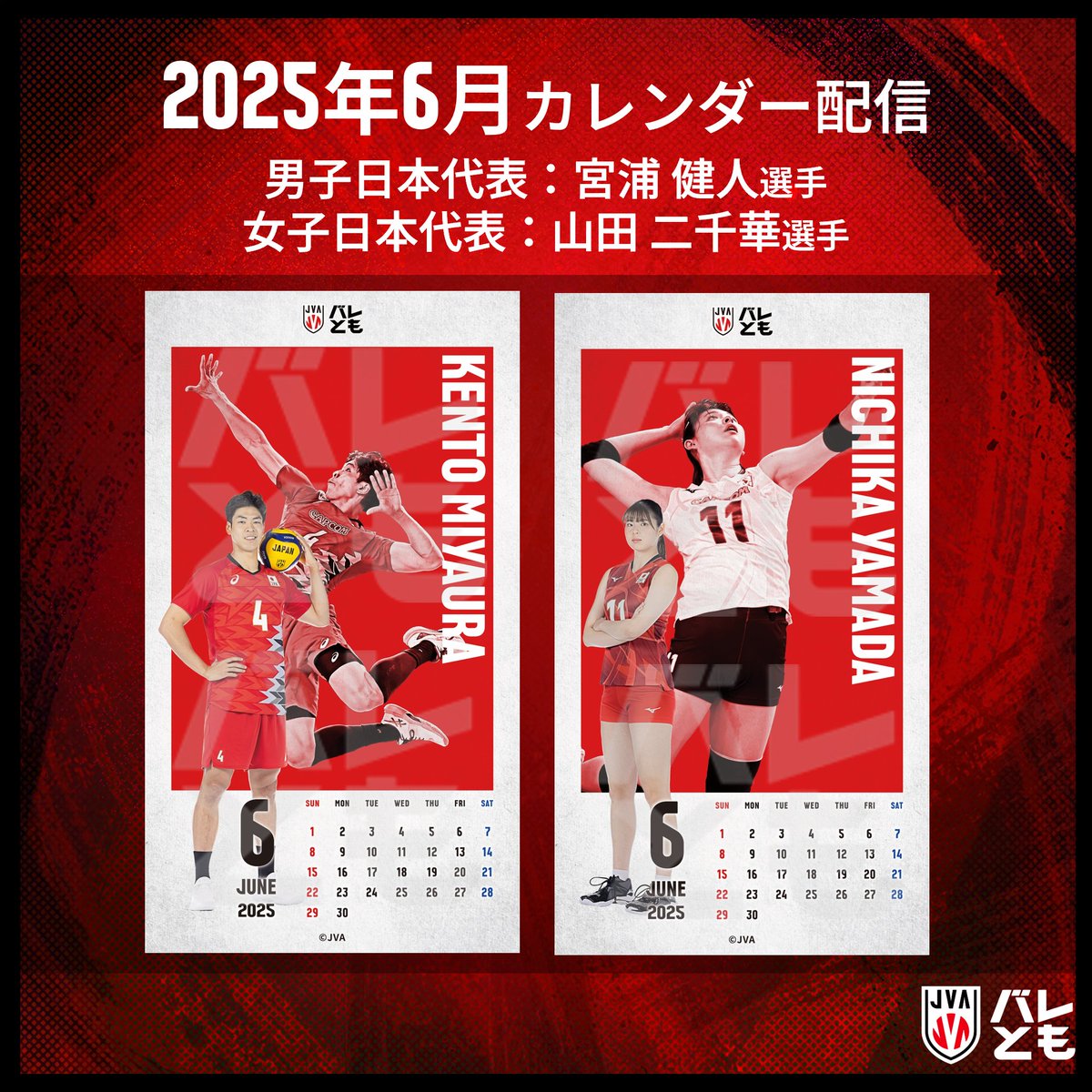 バレとも タオル 2025 宮浦健人 バレーボール 日本代表