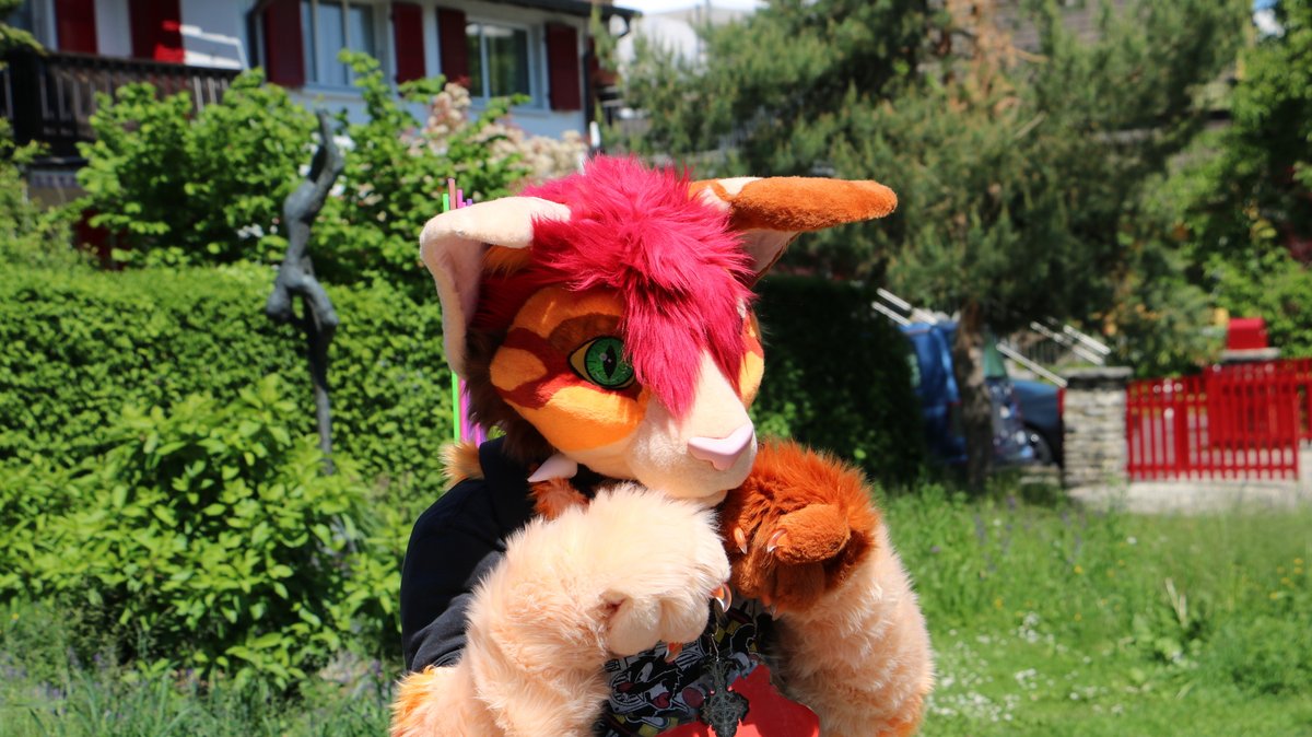 Behold the yeen who is a bean tweet media