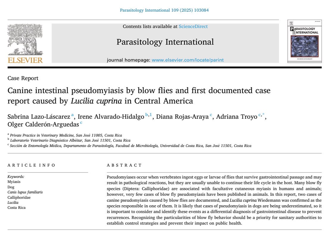 Adriana Troyo 🔬🦟 🇨🇷 (@dradrianatroyo) on Twitter photo Ticks from sloths!
🦥 🦥🦥🦥🦥🦥
This new paper was possible through the work of Juan J. Oporta MSc and the excellent collaborators, including <a href="/lafc_unam/">Laboratorio de Acarología-FCiencias, UNAM</a> y <a href="/fdantastorres/">Filipe Dantas Torres</a>.
Juan visited our lab in 2023 to study ticks from Central America. 👏🏻
🔗 article: rdcu.be/eoAw9 Ticks from sloths!
🦥 🦥🦥🦥🦥🦥
This new paper was possible through the work of Juan J. Oporta MSc and the excellent collaborators, including <a href="/lafc_unam/">Laboratorio de Acarología-FCiencias, UNAM</a> y <a href="/fdantastorres/">Filipe Dantas Torres</a>.
Juan visited our lab in 2023 to study ticks from Central America. 👏🏻
🔗 article: rdcu.be/eoAw9