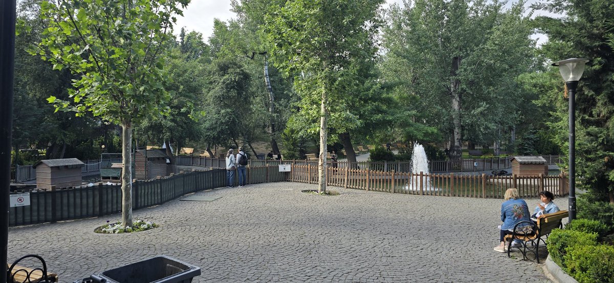 Güzel bir #Ankara sabahından hepinize günaydın. 
Hayırlı Cumalarınız olsun. 
Bol kazançlar diliyorum.