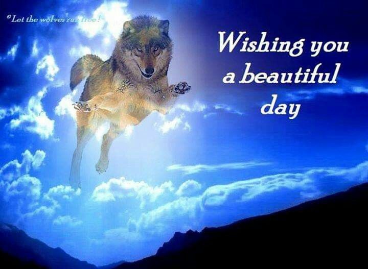 caninepoetry (@caninepoetry_) on Twitter photo 