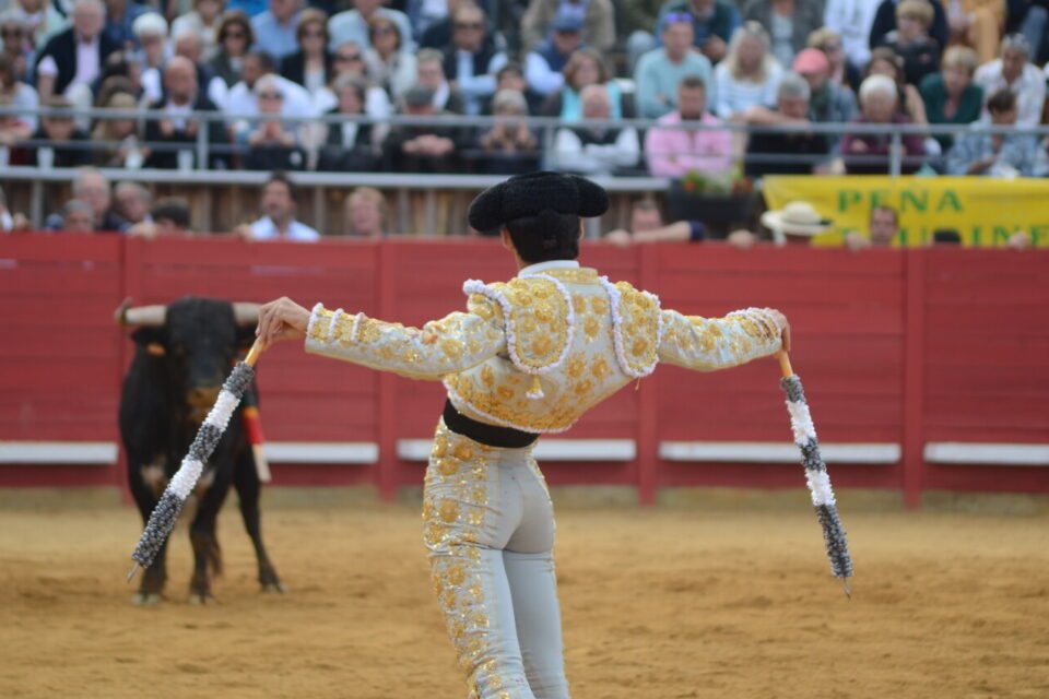 Ce petit village de Gironde,
chargé de traditions, va être
en effervescence ce week-
end..

(Mais voilà ce qui fait partie des réjouissances.... )😡😡😡
<a href="/Abus_Rituel200/">Protection De L' Enfance et Corrida</a> <a href="/FBB_Officiel/">Fondation Brigitte Bardot</a> <a href="/30millionsdamis/">Fondation 30 Millions d'Amis</a> <a href="/vakitamedia/">Vakita</a> <a href="/ValerieBijon/">Bijon valerie</a> <a href="/courbet_julien/">Julien Courbet</a>
actu.fr/nouvelle-aquit…