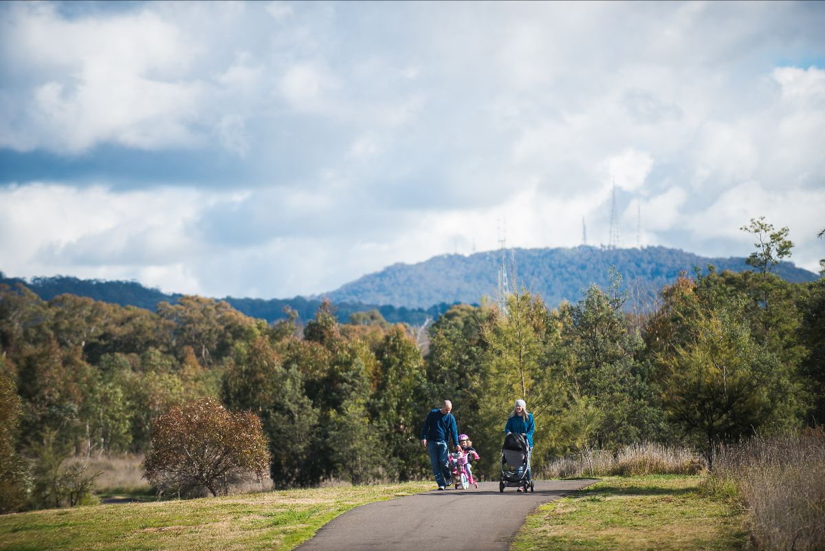 Orange City Council tweet media