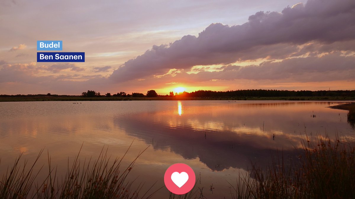 Buienradar tweet media