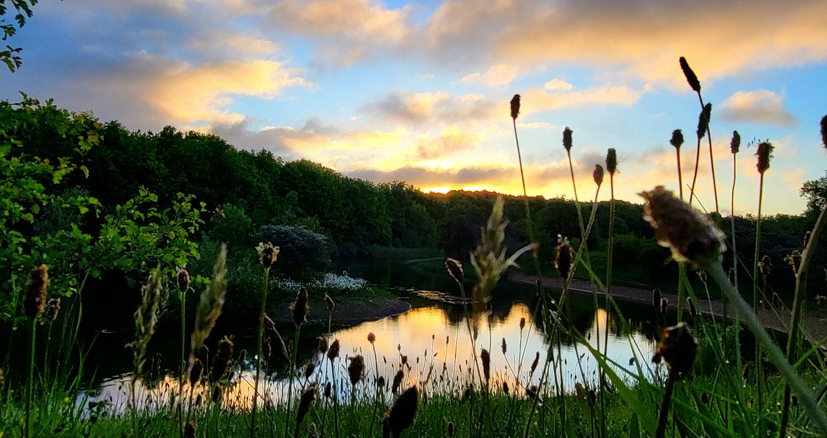 Nature and Weather Freak (@weatherfrog_) on Twitter photo This morning at. Teversal Trails Nottinghamshire
<a href="/StormchaserUKEU/">WEATHER/ METEO WORLD</a> <a href="/PhotographyWx/">WX Photography</a> <a href="/bbcweather/">BBC Weather</a> <a href="/BBCWthrWatchers/">BBC Weather Watchers</a> <a href="/itvweather/">ITV Weather</a> <a href="/metoffice/">Met Office</a> <a href="/ChrisPage90/">Chris Page - Weatherman</a> <a href="/WeatherAisling/">Aisling Creevey</a> #loveukweather✅ <a href="/liamdutton/">Liam Dutton | Weather Presenter & Meteorologist</a> <a href="/GavinPartridge/">GavsWeatherVids</a> <a href="/bbcemt/">BBC East Midlands</a> <a href="/BBCNottingham/">BBC Nottingham</a> <a href="/nottslive/">NottinghamshireLive</a> <a href="/StormHour/">#StormHour</a> <a href="/ThePhotoHour/">#ThePhotoHour</a> This morning at. Teversal Trails Nottinghamshire
<a href="/StormchaserUKEU/">WEATHER/ METEO WORLD</a> <a href="/PhotographyWx/">WX Photography</a> <a href="/bbcweather/">BBC Weather</a> <a href="/BBCWthrWatchers/">BBC Weather Watchers</a> <a href="/itvweather/">ITV Weather</a> <a href="/metoffice/">Met Office</a> <a href="/ChrisPage90/">Chris Page - Weatherman</a> <a href="/WeatherAisling/">Aisling Creevey</a> #loveukweather✅ <a href="/liamdutton/">Liam Dutton | Weather Presenter & Meteorologist</a> <a href="/GavinPartridge/">GavsWeatherVids</a> <a href="/bbcemt/">BBC East Midlands</a> <a href="/BBCNottingham/">BBC Nottingham</a> <a href="/nottslive/">NottinghamshireLive</a> <a href="/StormHour/">#StormHour</a> <a href="/ThePhotoHour/">#ThePhotoHour</a>