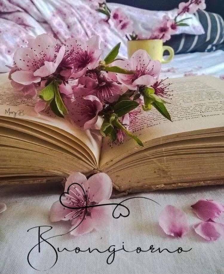 RITABIANCHi56 tweet media