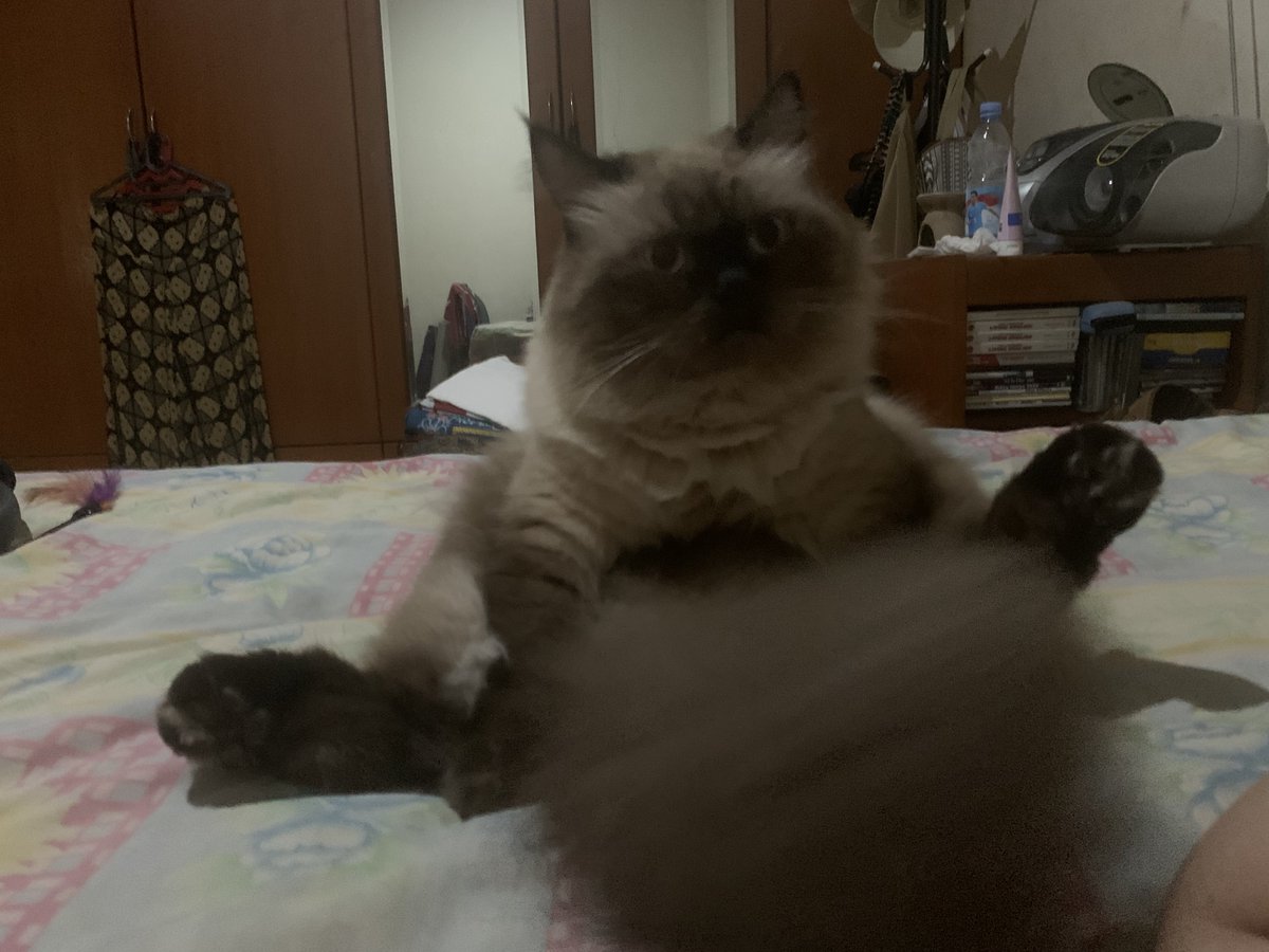 yellowcippo's tweet photo. demennya duduk kek bapak2 https://t.co/NmbCAKDFbC
