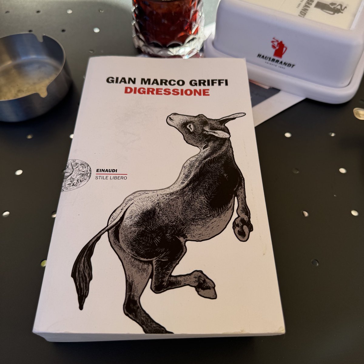 Il 30 maggio 2025 il responsabile Feltrinelli delle relazioni con il territorio per le province di Brescia e Bergamo [omissis] leggeva p. 180 delle bozze rilegate di Digressione, dove Arturo Saragat cerca la redenzione telefonando a una lavanderia supermoderna. <a href="/Einaudieditore/">Einaudi editore</a>