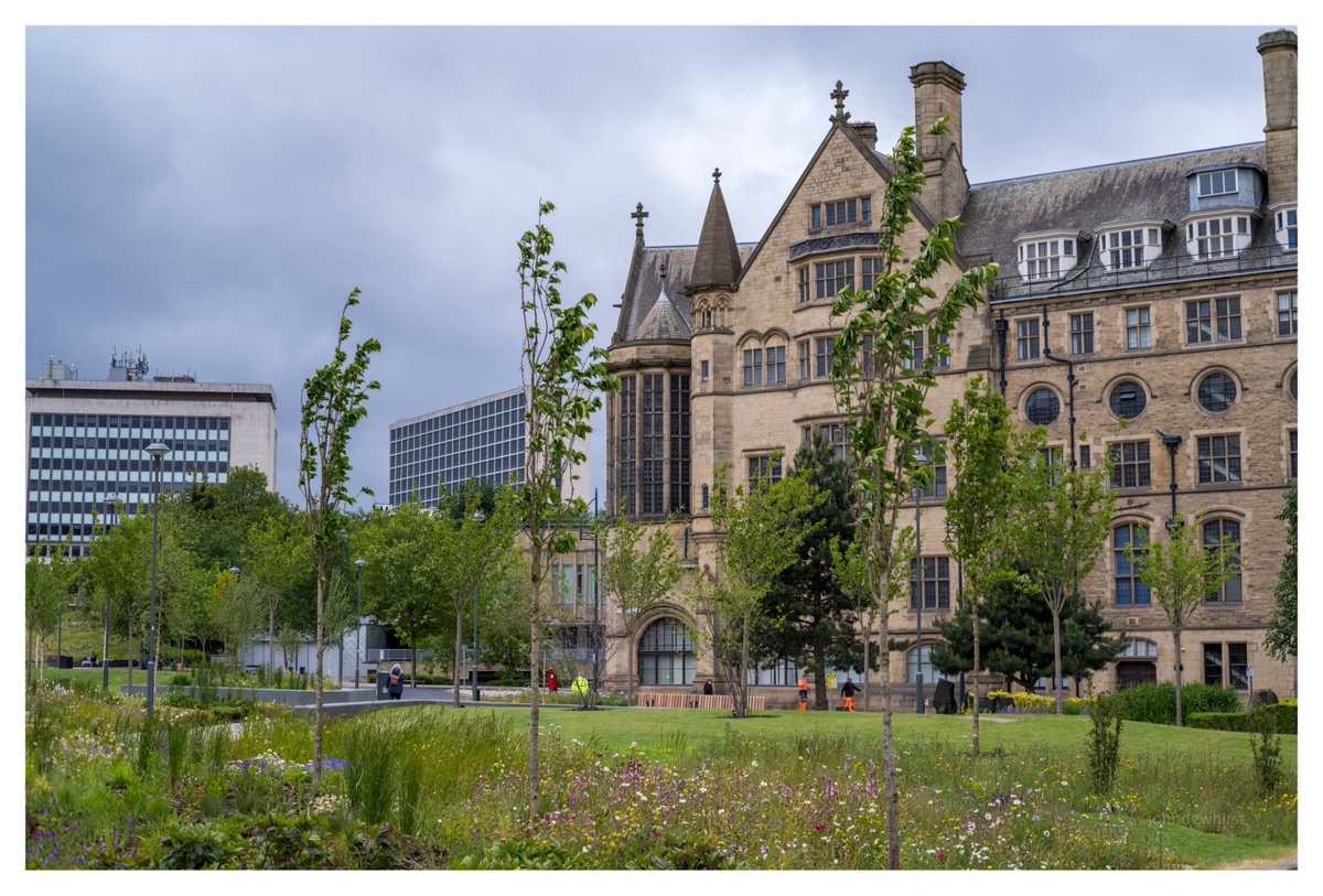 johndewhirst (@jpdewhirst) on Twitter photo Bradford's new meadow where once there was a dual carriageway. An incredible transformation and looking good. #Bradford <a href="/BradfordCivic/">Bradford Civic Society</a> Bradford's new meadow where once there was a dual carriageway. An incredible transformation and looking good. #Bradford <a href="/BradfordCivic/">Bradford Civic Society</a>