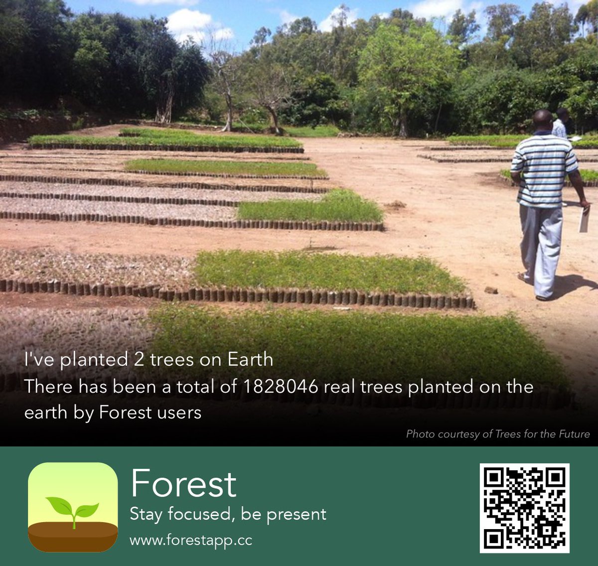 🌳🌱🌳🌱 forestapp.cc