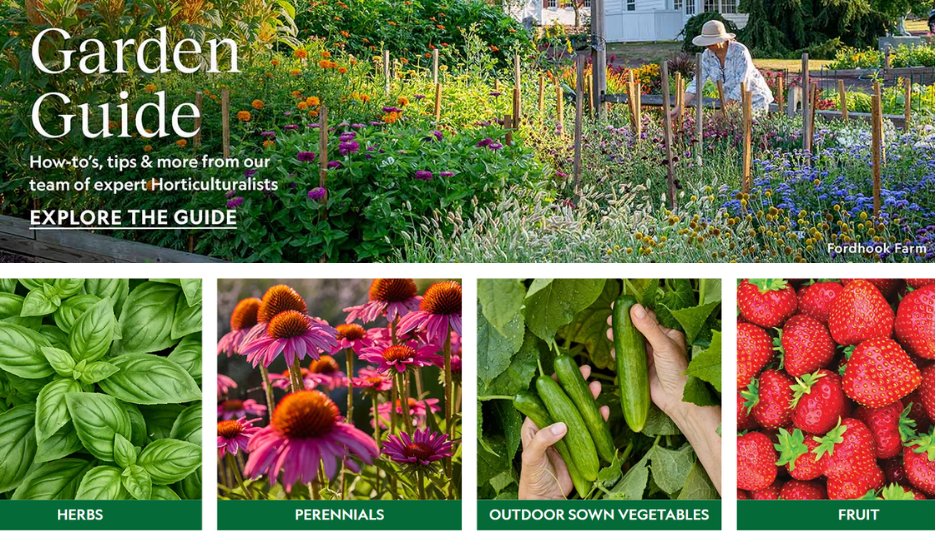 It's not too late to get more veggies or flowers in your yard!
~Save 10% on your 1st Burpee purchase with #promocode
~Returning customers save 20% on orders $60+ with #code bit.ly/burpeedeals