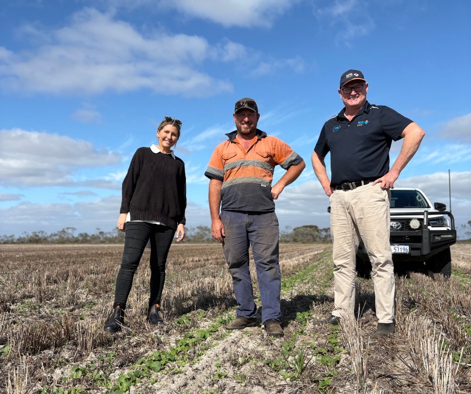 Pioneer Seeds - Australia tweet media