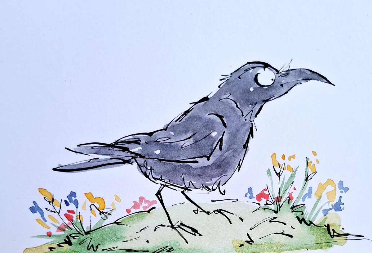 Crow &amp; colours