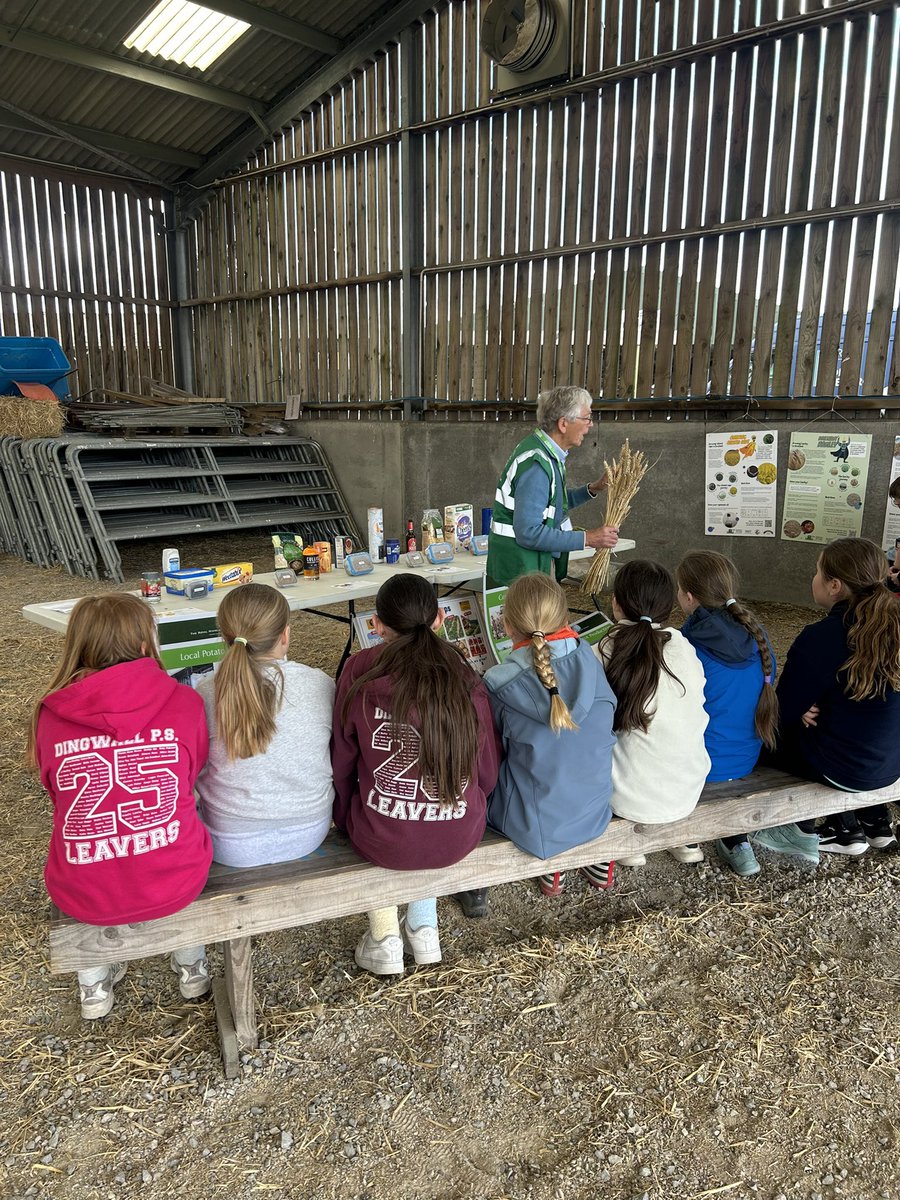 Mark McCallum tweet media