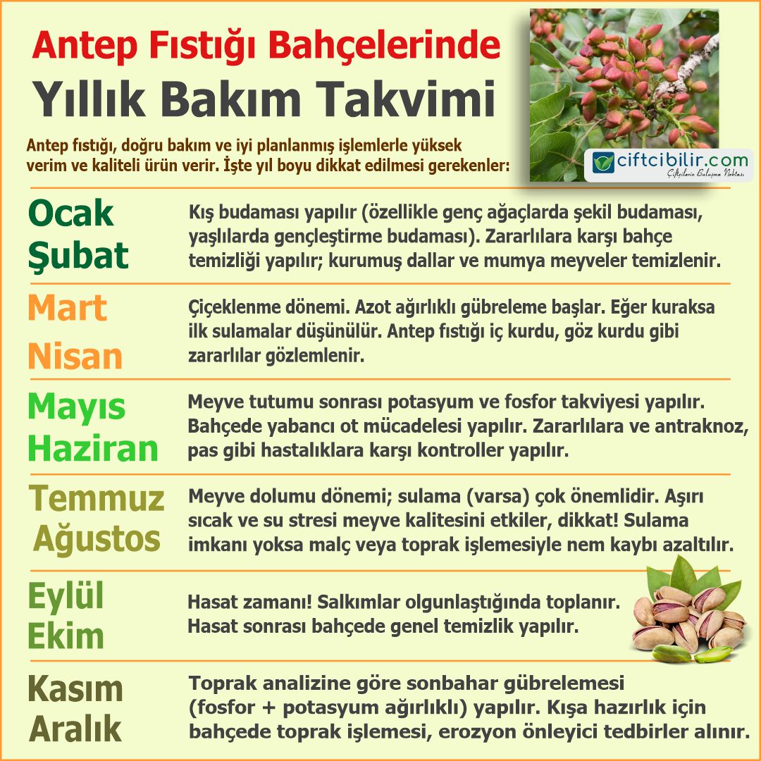 Daha fazla bilgiye sitemizin Tarım Kütüphanesi bölümünden ulaşabilirsiniz.
İlanlarınızı sitemizde ücretsiz yayınlayabilirsiniz...
ciftcibilir.com