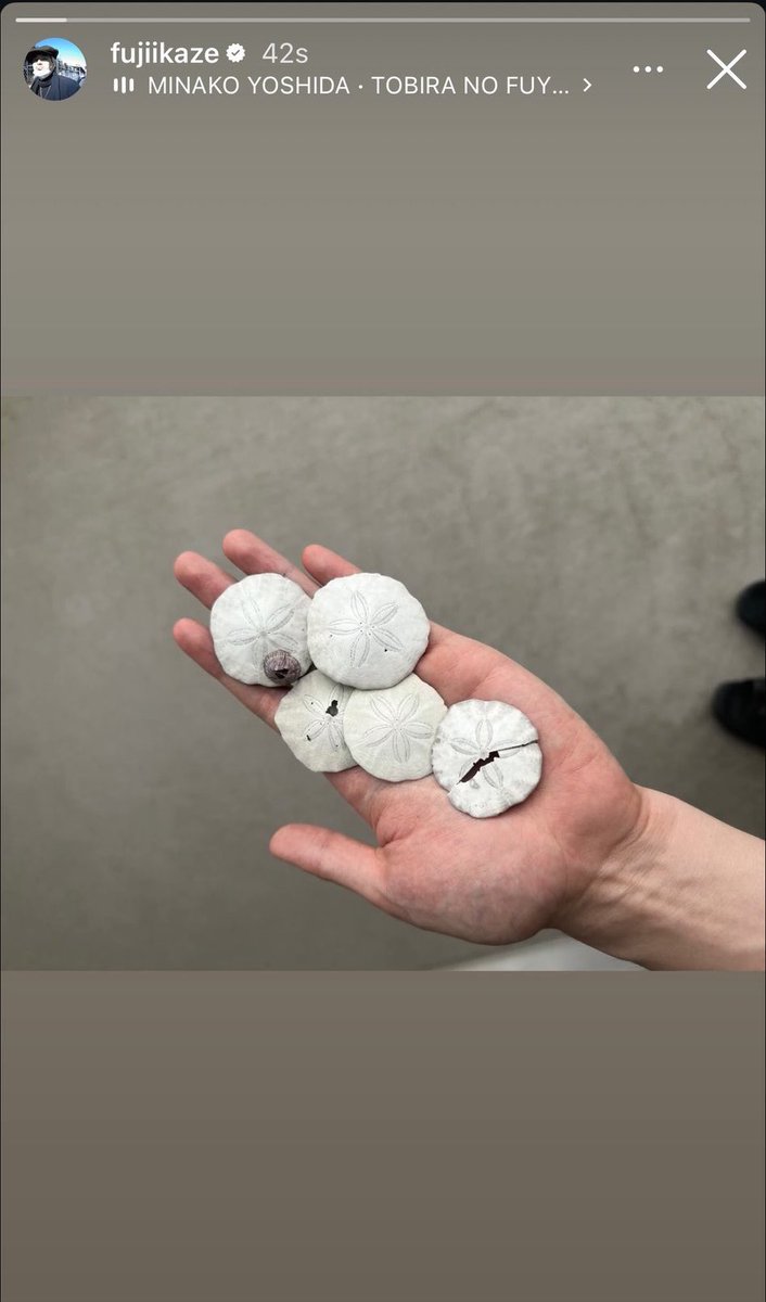 bboathytnkk's tweet image. มันคือ Sand Dollars หรือบ้านเราเรียกว่าอีแปะทะเล ว่ากันว่ามักถูกใช้เป็นสื่อแทนความรัก หรือความหมายของการอยู่ด้วยกัน การเป็นอันหนึ่งอันเดียวกัน คาเสะเก็บมา 5 อัน = อยู่ด้วยกันมา 5 ปีแล้วอะดิ โรแมนติกที่สุดดด 🥹 #HELPEVERHURTNEVER #FujiiKaze