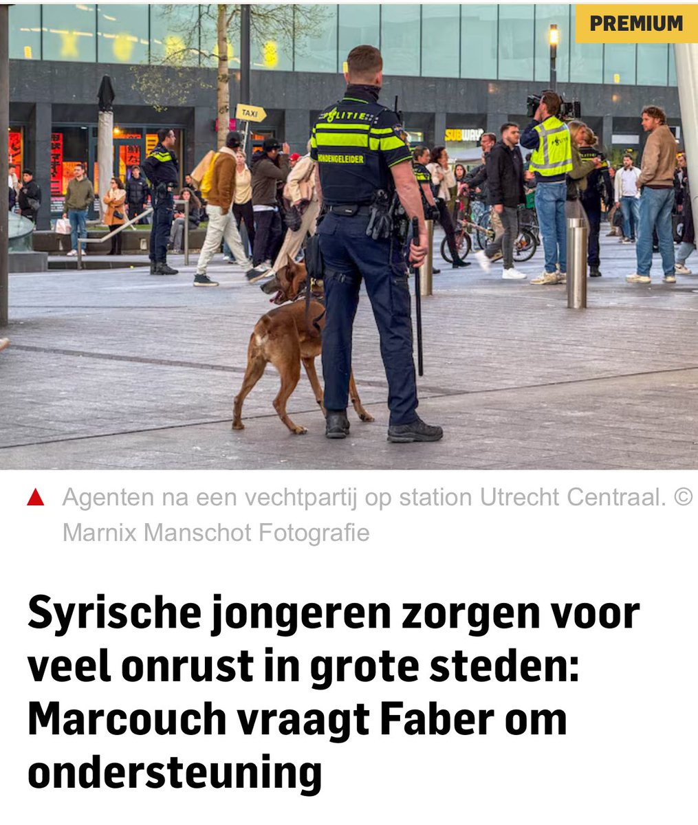 Syriërs moeten terug naar Syrië. De criminelen maar ook de rest. Dat land is immers grotendeels veilig nu. Al 200.000 Syriërs uit Turkije zijn teruggegaan naar Syrië omdat het daar veilig voor is: tinyurl.com/2sycu34p

NL moet ze dus ook terugsturen snel. Zie ons 10 pt-plan!