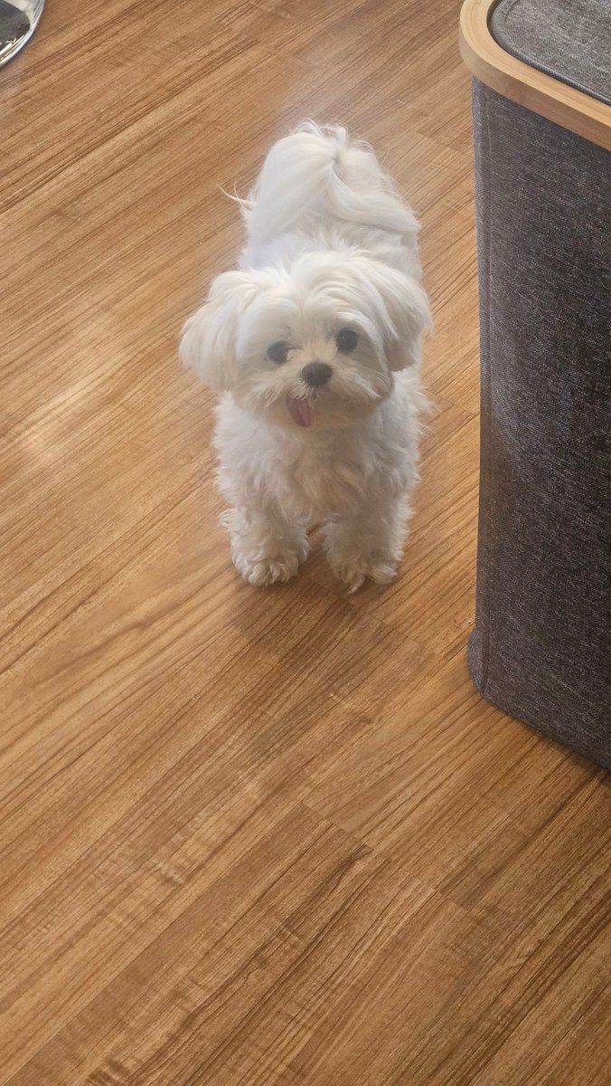 Madelyn Summers 🪩 tweet media