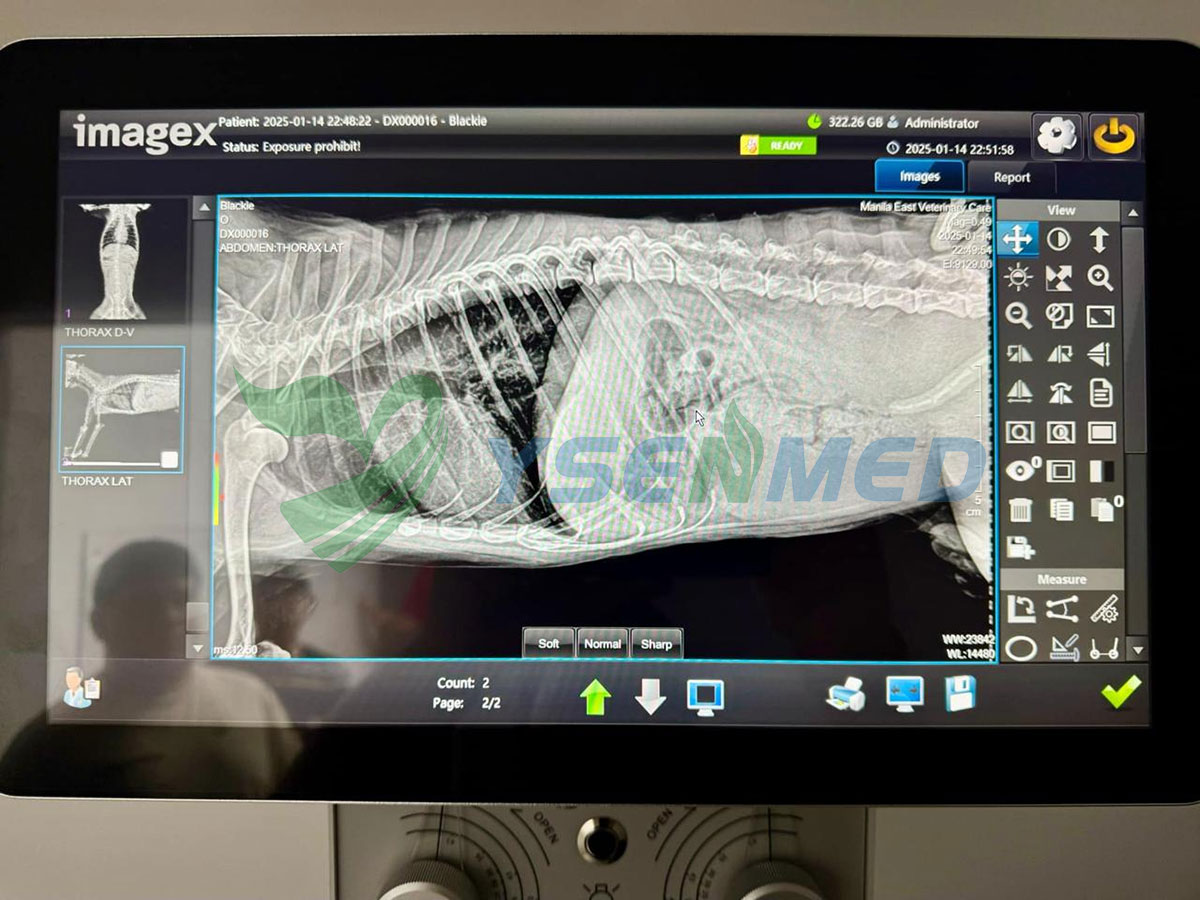 ysenmed's tweet photo. YSDR-VET320 is our most hot-selling veterinary x-ray system, due to its good quality images and good value. Again, we received good feedbacks from a Philippinese vet, who's very satisfied with our system.
#ysenmed #Medicalequipment #medicalsupplier #xraysystem https://t.co/1iHh5UKiPu