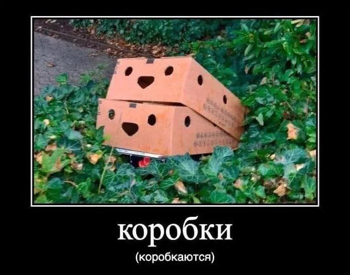 Чего только не привидится