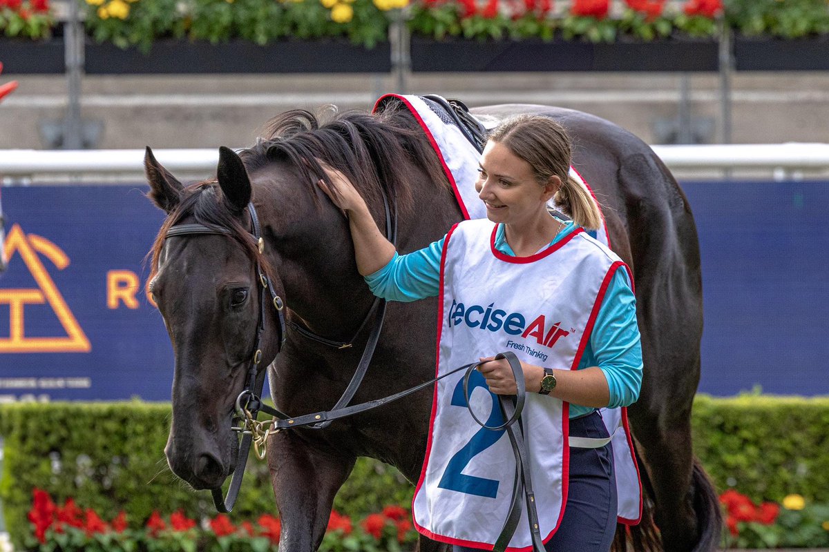 📣 PLAYING BY THE RULES 📣

Emma Reeves aids us with programming and identifies who she thinks is the best placed horse each weekend 🔥

MAJOR BEEL 🟡⚪️ Saturday 31st May, Rosehill Gardens, Race 8 🐎

Read the full feature here ➡️ gaiwaterhouse.com.au/news/61854/pla…