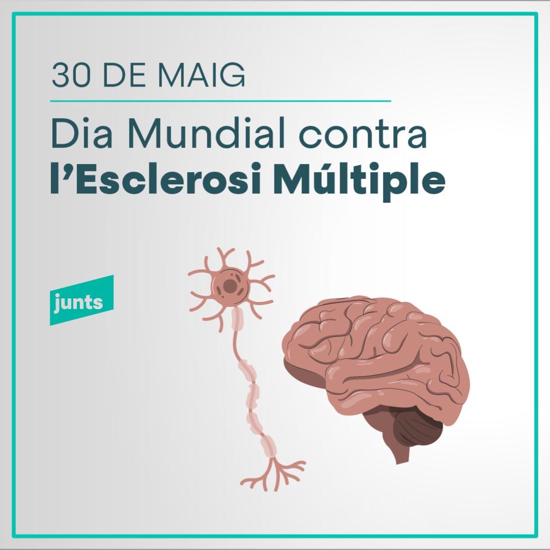 🔵 A Catalunya, +9.000 persones viuen amb #EsclerosiMúltiple, 3 de cada 4 són dones.
Des de Junts Vallès Occidental-Sabadell, defensem més suport, més inclusió i entorns justos per millorar la seva qualitat de vida.
💙 No deixem ningú enrere.
<a href="/NuriaRamonP/">Núria Ramon Pérez</a>