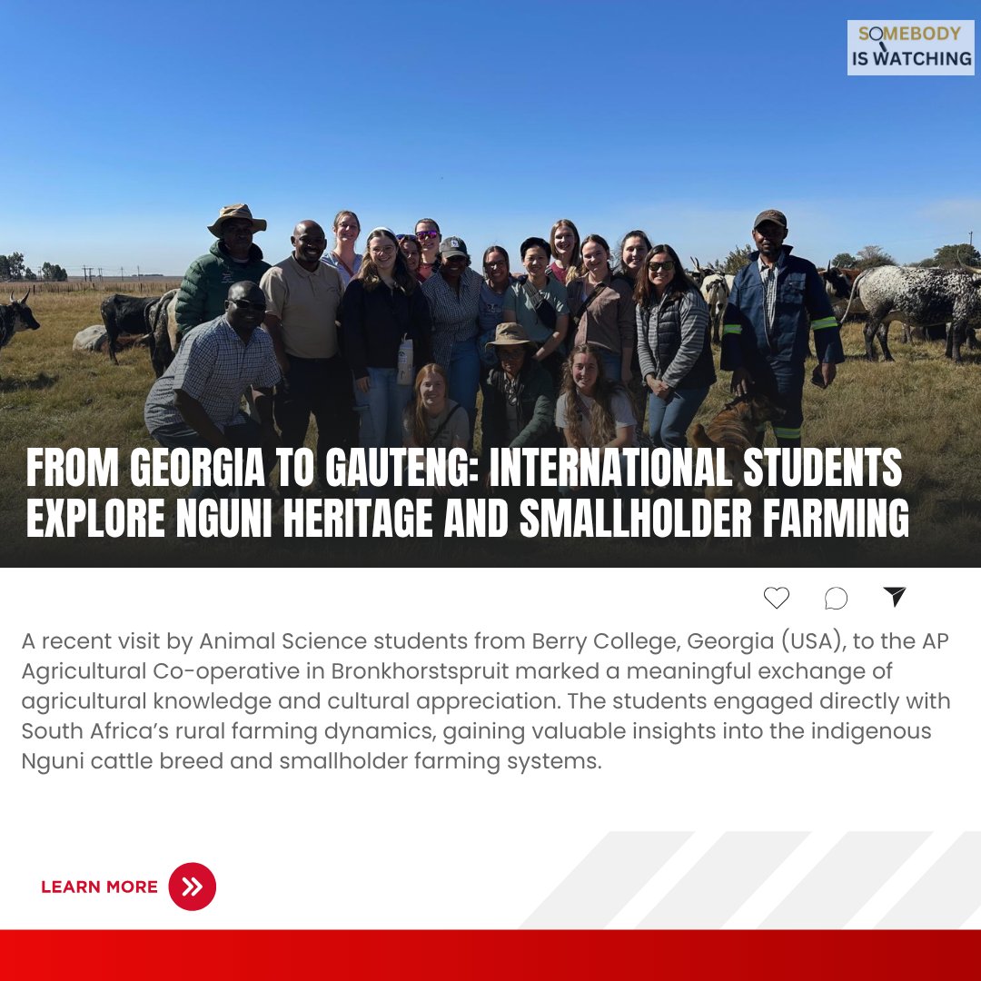 siwnews's tweet image. Animal Science students from Berry College (USA) visited AP Agricultural Co-op in Bronkhorstspruit, exploring Nguni cattle &amp;amp; rural farming. Cultural insight meets agricultural innovation. 🌍🤝 #YouthInAg #NguniCattle #InternationalLearning
Read more: siwnews.com/2025/05/30/fro…