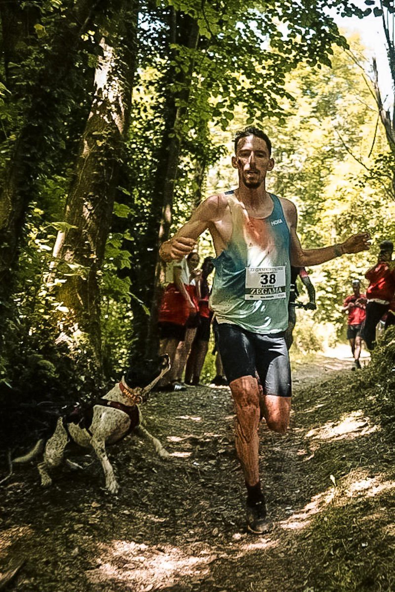 biel_rafols's tweet photo. Estimado perrete,

¿Podrías pedirle a tu dueño que, en caso de haber una carrera, te ate un poco más lejos del camino?  
Este tipo de situaciones pueden comprometer meses de preparación y esfuerzo…

¡Gracias por tu comprensión!  
@ZegamaAizkorri @AndreuBlanes https://t.co/3zwKXuZCVX