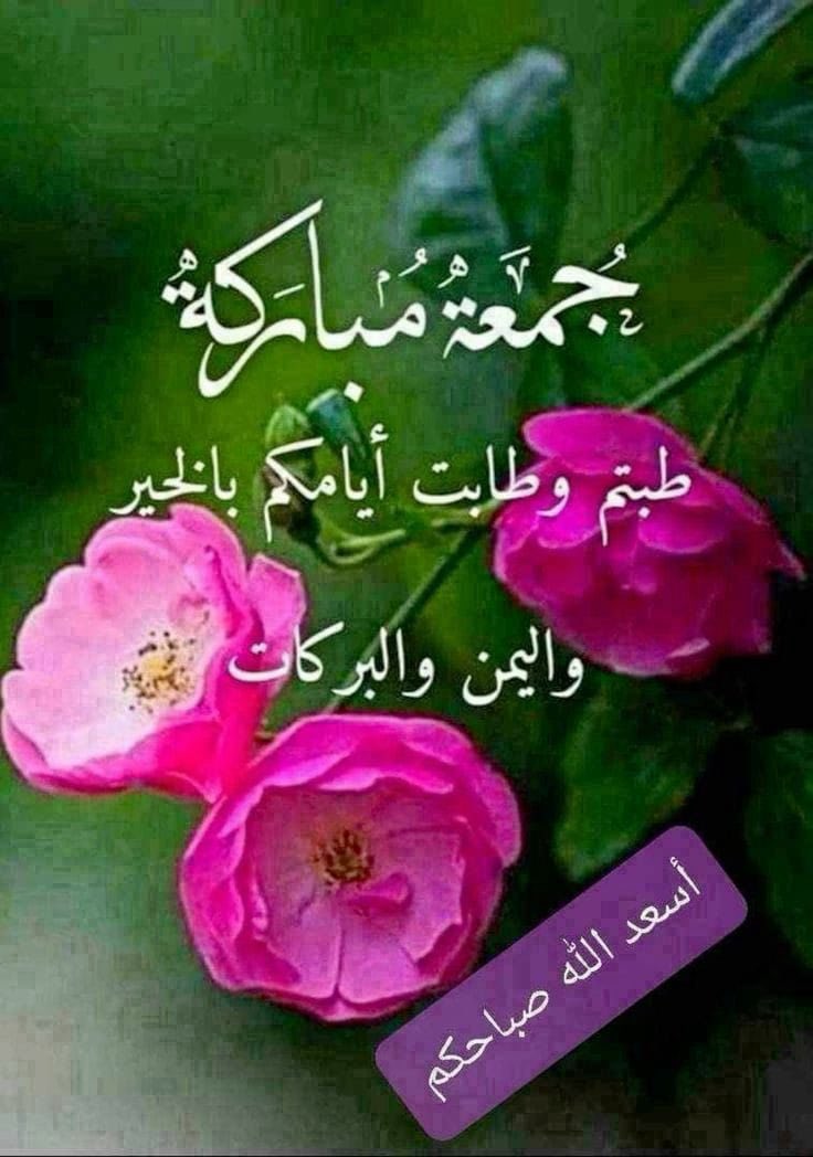hamed ALshamry (@hamedalsha9348) on Twitter photo 