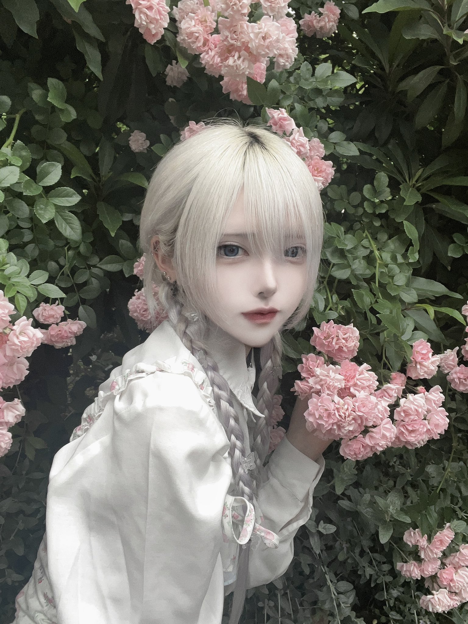 サバにゃんページ にゃんさば (@_nyans__) / X