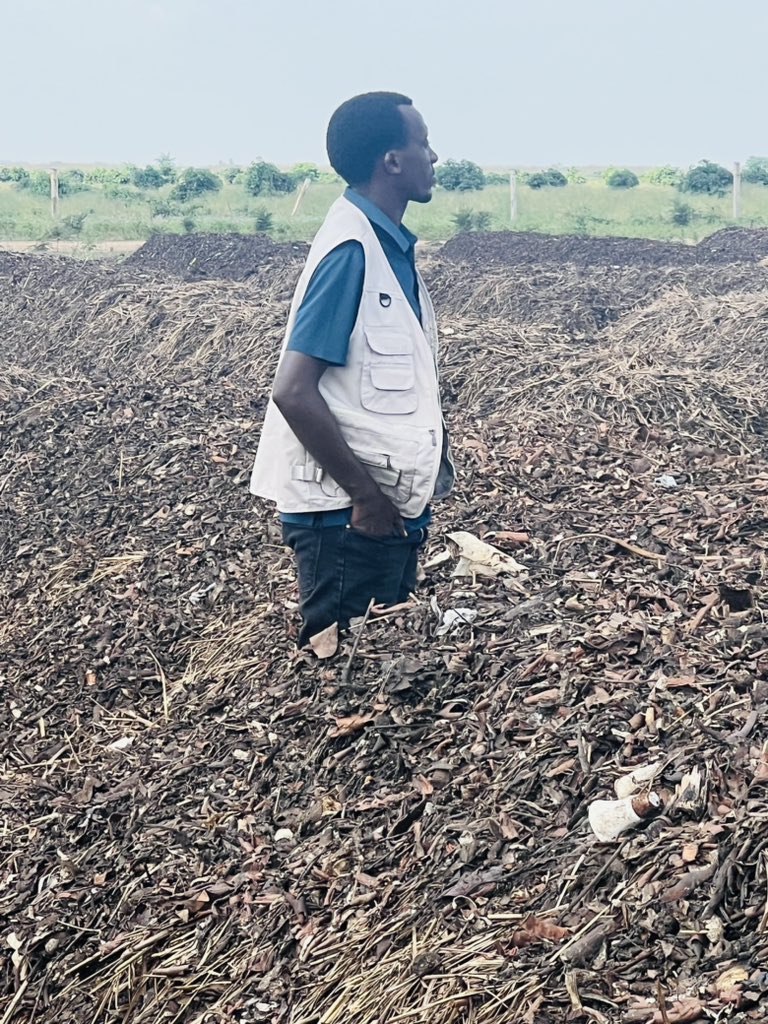 Ruvusha_Israel's tweet image. Compost enriches soil by adding organic matter, which improves soil structure, aeration, and water-holding capacity. This helps prevent compaction and promotes healthy root growth.