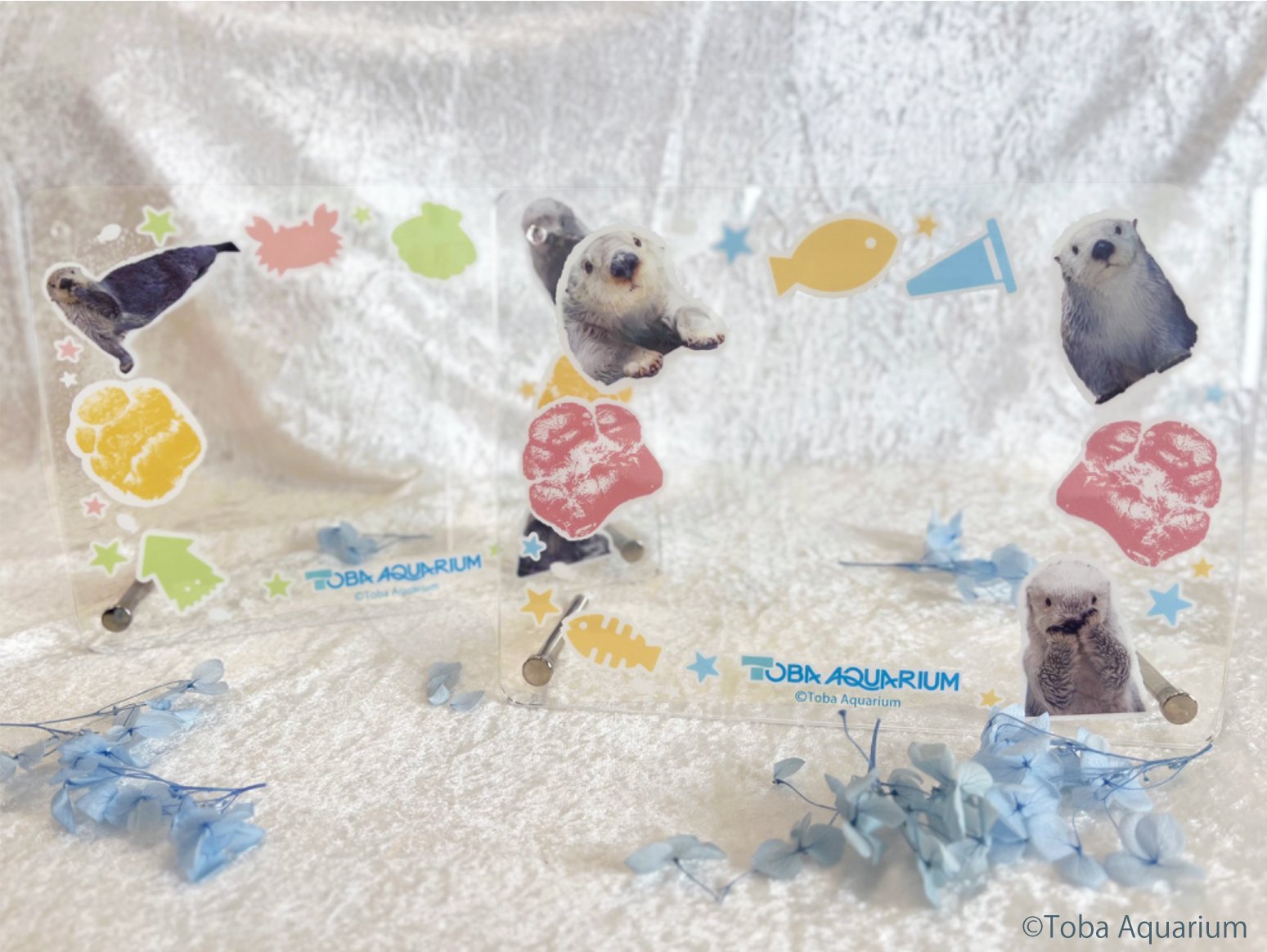 カプくじ ラッコのメイちゃん B賞 手形付きフォトフレームキラ 鳥羽水族館