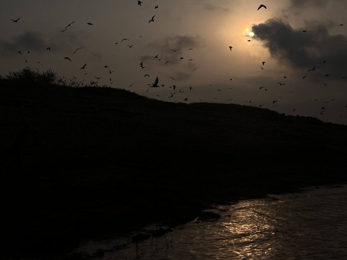 Not sure if follows the definition of Silhouette though.