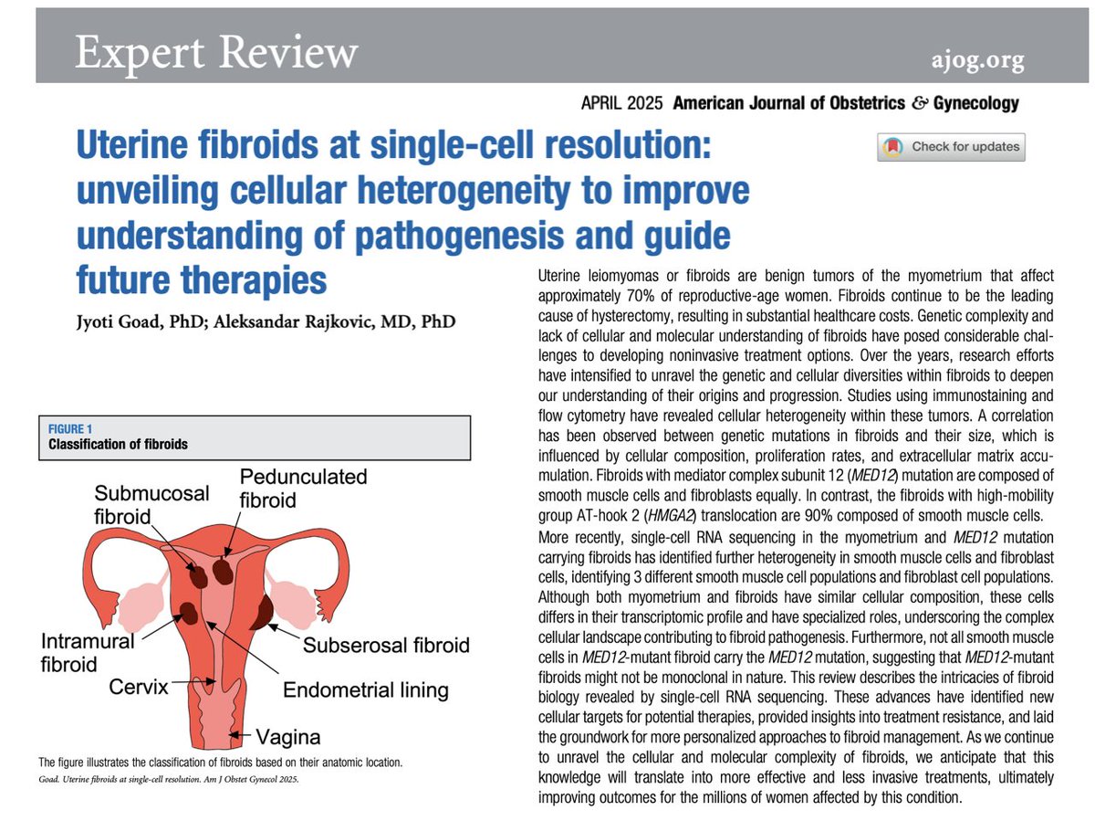 🧬 New study maps uterine fibroids at single-cell resolution, revealing cellular diversity that may explain differences in treatment response. A step forward in precision medicine for women’s health! #Fibroids #Gynecology #SingleCell #WomensHealth #Research