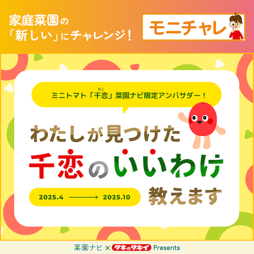 菜園ナビ公式アカウント (@saien_navi) / Posts / X