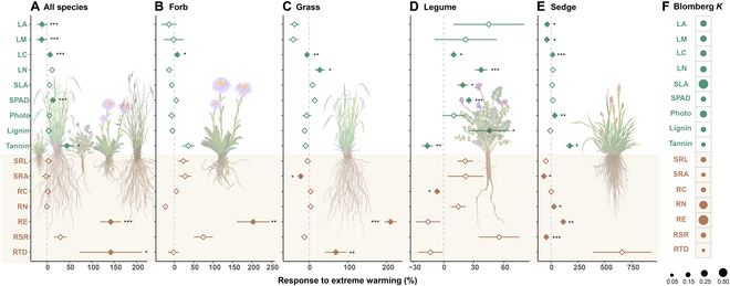 Climate change-induced shifts in plant functional traits can profoundly affect the stability of plant communities and ecosystem functions.

Extreme #Warming Coordinately Shifts #Root and #Leafs Traits of Alpine Plants toward Conservatism: spj.science.org/doi/10.34133/e…