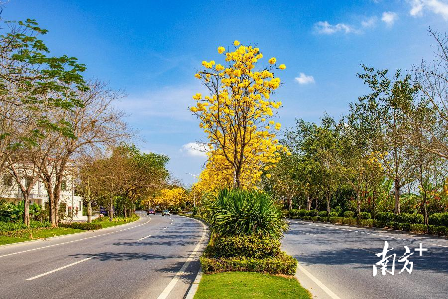 【2025年前4個月中國農村公路完成固定資產投資超975億元】據交通運輸部消息，2025年1—4月，中國全國農村公路完成固定資產投資975.1億元，新改建農村公路約2萬公里。農村公路採取以工代賑方式實施項目587個，吸納農村勞動力1.2萬人。