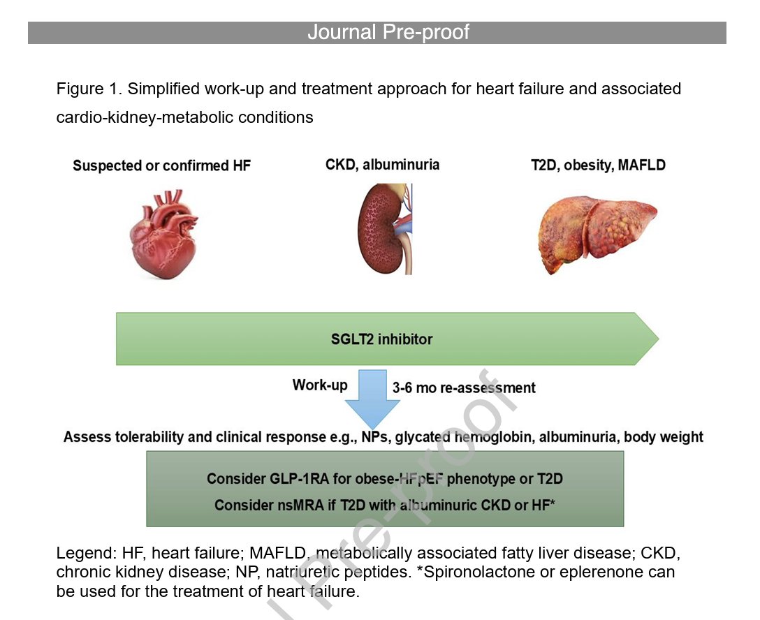 Prof Kamlesh Khunti (@kamleshkhunti) on Twitter photo Screening for Undiagnosed Heart Failure
<a href="/FaiezZANNAD/">Faiez ZANNAD</a> et al
sciencedirect.com/science/articl… Screening for Undiagnosed Heart Failure
<a href="/FaiezZANNAD/">Faiez ZANNAD</a> et al
sciencedirect.com/science/articl…